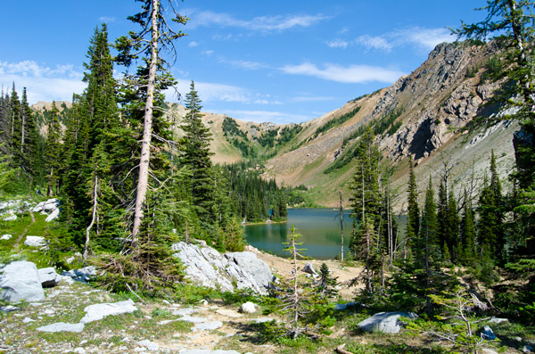 Bear Lake View